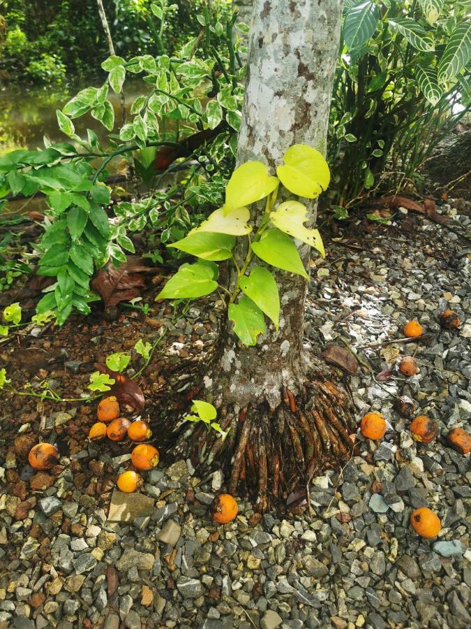 Baan Chan Sabai 尖竹汶 外观 照片